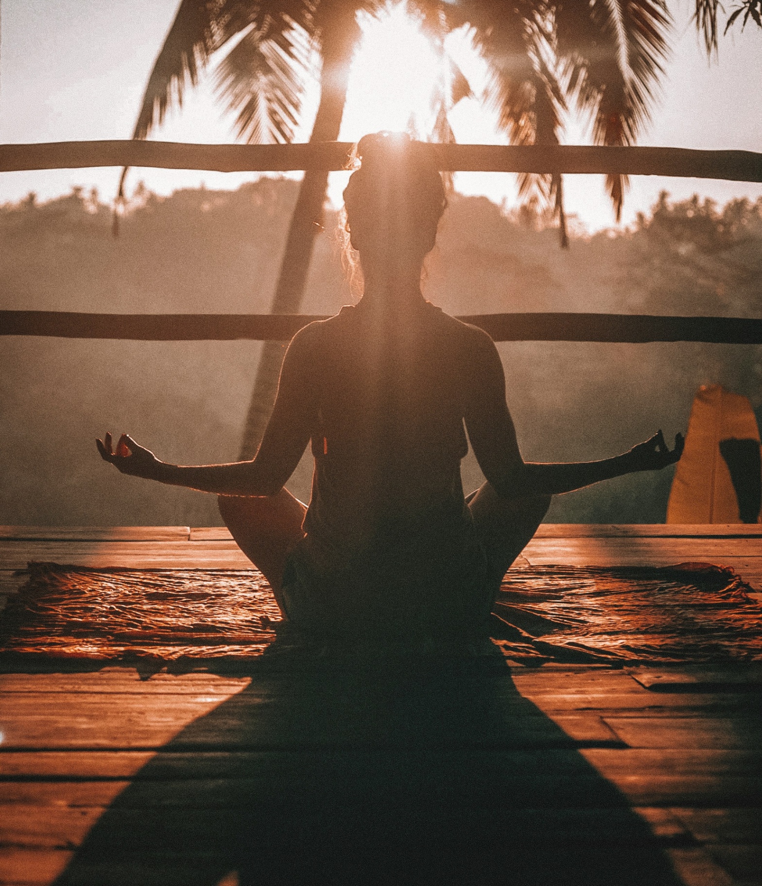 How Sanatan Dharma Promotes Harmony Between Humanity and Nature